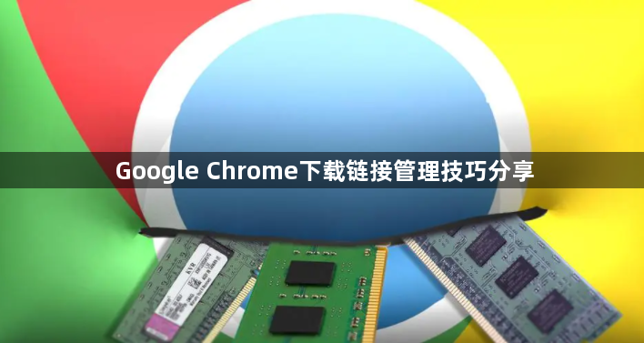 Google Chrome下载链接管理技巧分享1