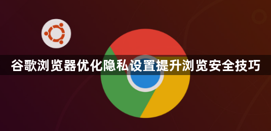 谷歌浏览器优化隐私设置提升浏览安全技巧1
