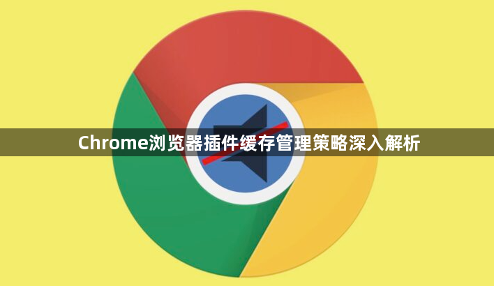 Chrome浏览器插件缓存管理策略深入解析1