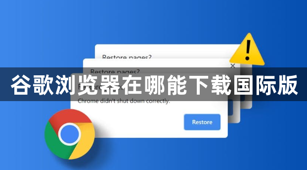 谷歌浏览器在哪能下载国际版1