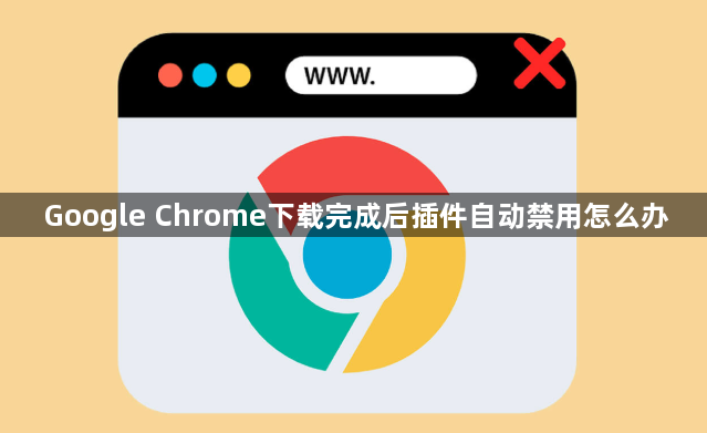 Google Chrome下载完成后插件自动禁用怎么办1