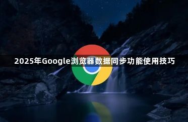 2025年Google浏览器数据同步功能使用技巧1
