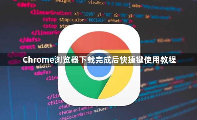 Chrome浏览器下载完成后快捷键使用教程1