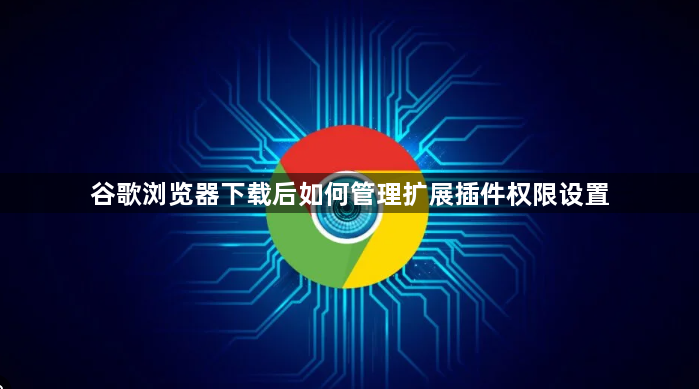 谷歌浏览器下载后如何管理扩展插件权限设置1