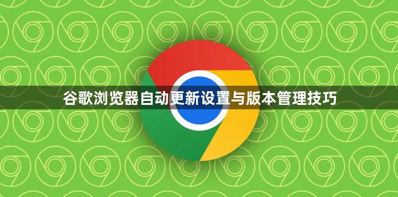 谷歌浏览器自动更新设置与版本管理技巧1