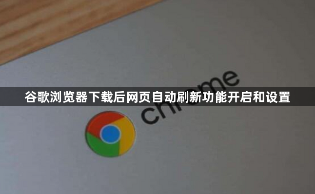 谷歌浏览器下载后网页自动刷新功能开启和设置1