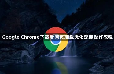 Google Chrome下载后网页加载优化深度操作教程1