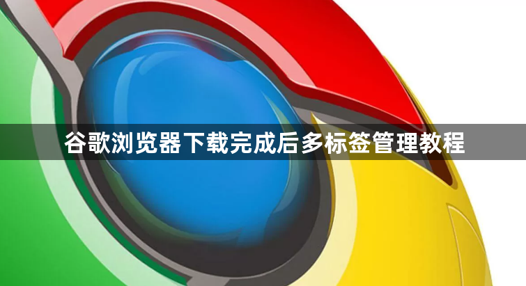 谷歌浏览器下载完成后多标签管理教程1