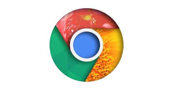Chrome浏览器便携版跨平台安装步骤详解