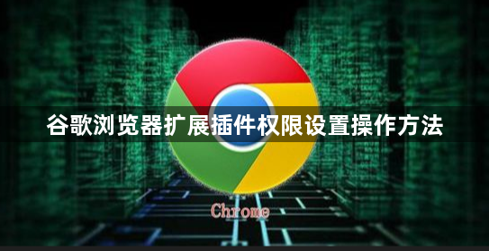 谷歌浏览器扩展插件权限设置操作方法1