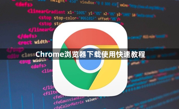 Chrome浏览器下载使用快速教程1